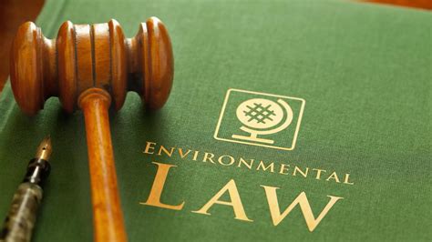 What Is Environmental Law Everything You Need To Know Forbes Advisor