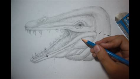 Https://tommynaija.com/draw/how To Draw A Basilosaurus