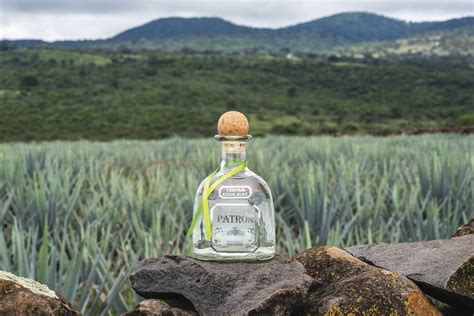Looking for actual business plans for inspiration? Bacardi Group Boost Eight distilleries within the global Bacardi (bacardilimited.com) group are ...