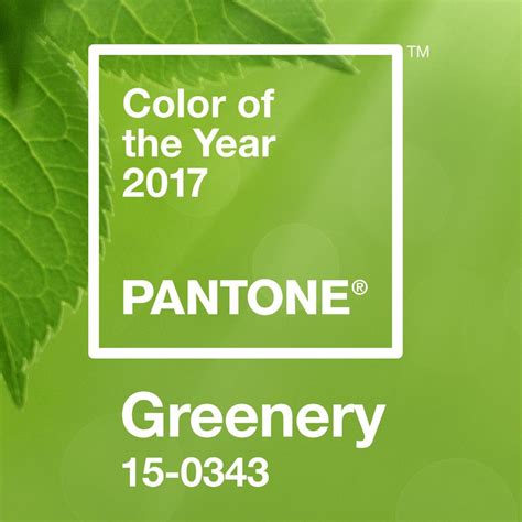 Ishrath H Blogs Greenery Pantone Color Of The Year 2017