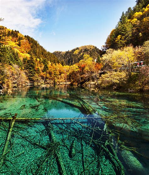 Five Flower Lake Jiuzhaigou Valley Sichuan Province Southwestern