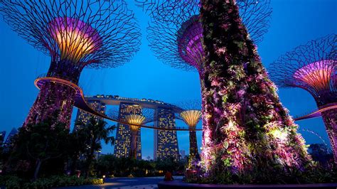 An iconic singapore destination, gardens by the bay is undoubtedly at the top of every visitor's itinerary to the city. Gardens by the Bay in Singapore, | Expedia