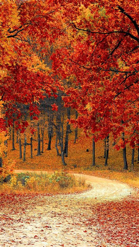 15 Fall Iphone Xs Wallpapers Best Autumn Backgrounds Home Diy