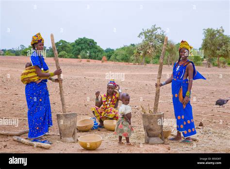 Fulani Women At A Village In Southwestern Niger Pound Millet During The