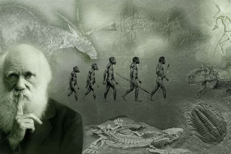 Evolución Y Eugenesia Charles Darwin Teoria De La Evolucion