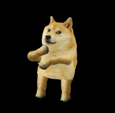 Doge S Find And Share On Giphy