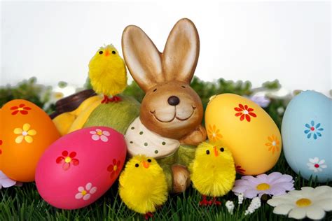 Alle fotos haben eine hohe auflösung und eine sehr gute qualität damit du es als iphone oder desktophintergrund du findest hier für alle erdenkliche anlässe gutscheinvorlagen zum ausdrucken. Osterhase mit Osterküken und Eiern (Ostern) - lizenzfreie Fotos / Bilder kostenlos herunterladen ...