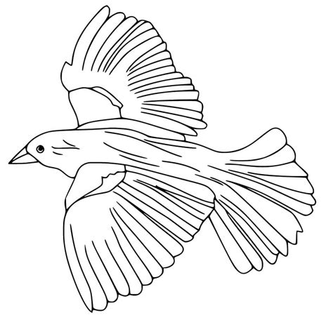 Bluebird Outline Coloring Page Free Printable Coloring Pages For Kids