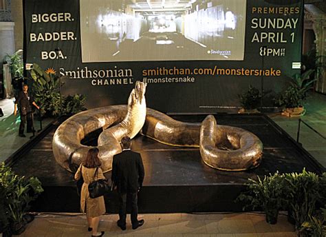 Look Titanoboa Worlds Biggest Snake Coming To Smithsonian Huffpost