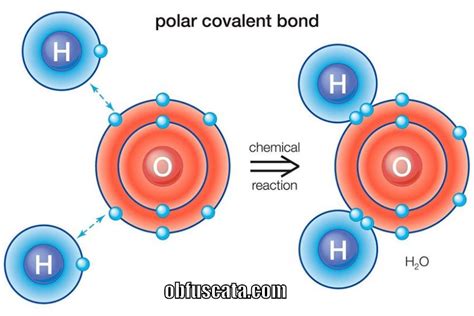 An official paper given by the government or…. Strength of Polar Covalent Bond