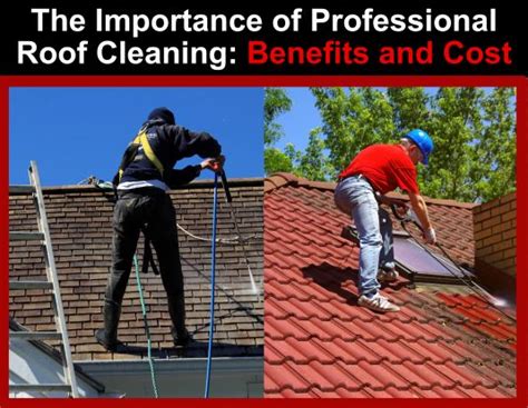 Penyourthought The Importance Of Professional Roof Cleaning Benefits