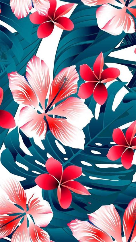 tropical flower desktop wallpaper flowers tropical wallpaper flower hd 4k beautiful background