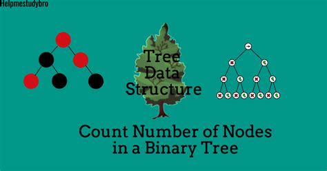 Count Number Of Nodes In A Binary Tree Helpmestudybro