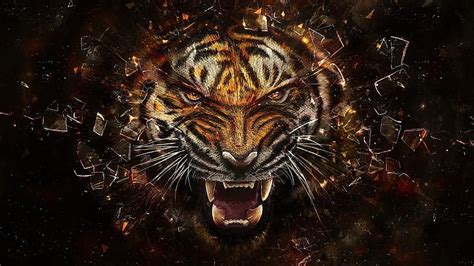 Hd Wallpaper Bengal Tiger Face Eyes Aggression Predator Animal