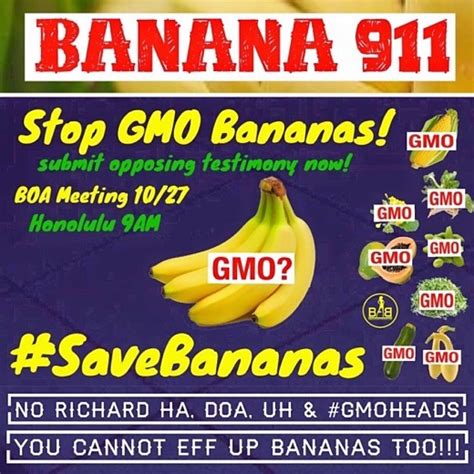 Say No To Gmo Bananas In Hawaii And Biopiracy News Seed Freedom