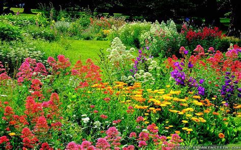 Colorful garden flowers free photo. The Wonderful World of Flower Gardens | The Lone Girl in a ...