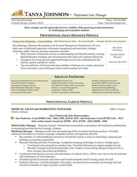 Sample Resumes For Professionals Customized A Platinum Resume