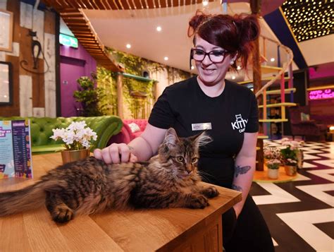 Kitty Cafe Opens In Grand Central Birmingham Live