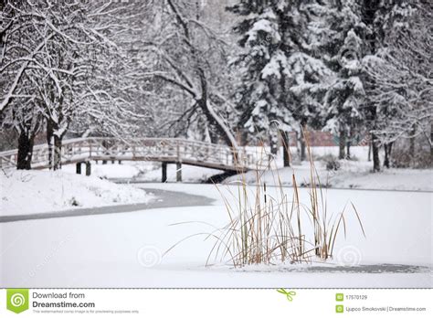 Winter Scene From The City Park Stock Image Image Of