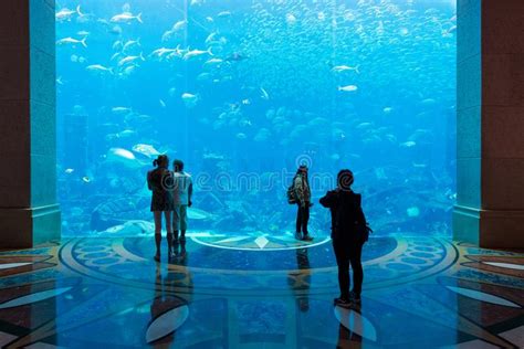 Aquarium In Atlantis Hotel Dubai United Arab Emirates Editorial Stock