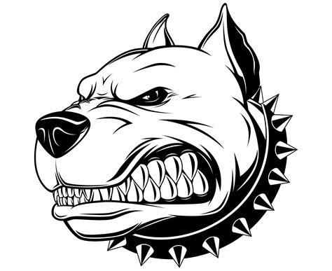 Pitbull Logo Logodix
