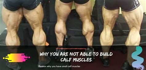 How To Get Perfect Calf Muscles HEALTH GYM GUIDE