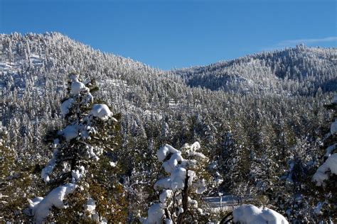 Free Images Tree Wilderness Snow Winter Mountain Range Weather