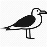 Sea Icon Seagull Bird Ocean Icons Editor