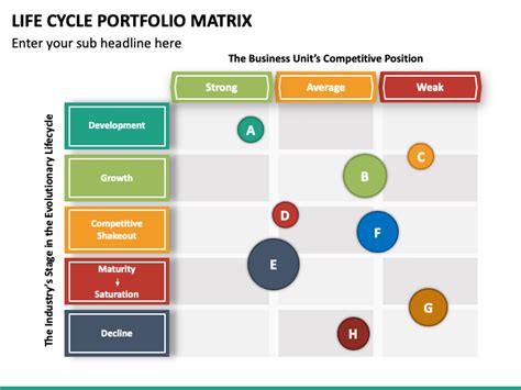 Lifecycle Portfolio Matrix Powerpoint Template Ppt Slides Sexiz Pix