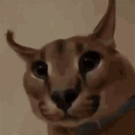 Cool Gif Big Floppa Caracal Cat Cat Memes Russian Cat