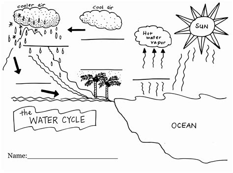 Free Printable Water Cycle Coloring Pages