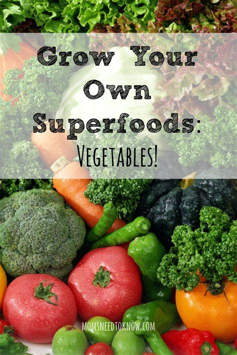 Easy To Grow Super Veggies Grow Your Own Superfoods Moms Need To