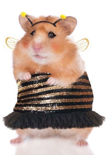 Honey The Sassy Bee Hamster Costume Hamster Costume Hamster Bumble