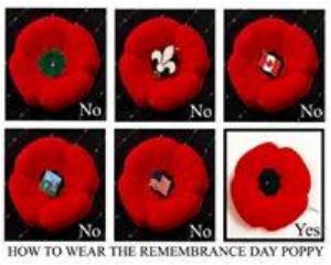How To Wear The Remembrance Day Poppy Royal Canadian Legion