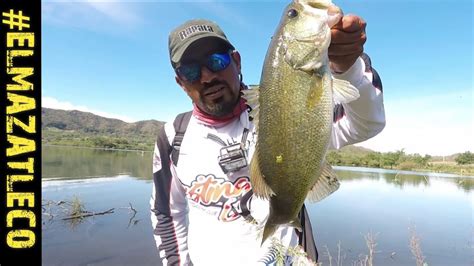 Pesca De Lobina Bass Presa Picacho Youtube