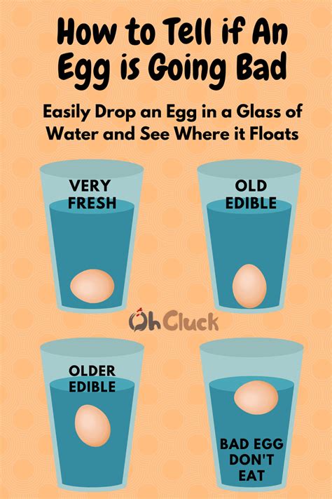 Egg Float Test How To Tell If An Egg Is Bad