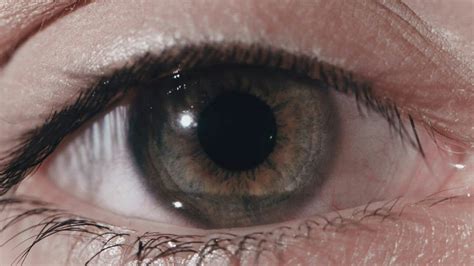 Closeup Of A Dark Grey Eye Free Stock Video