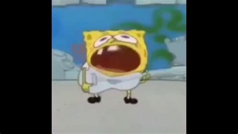 Spongebob Dank Memes Volume 1 Youtube