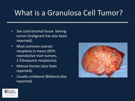 Ppt Laparoscopic Removal Of An Ovarian Granulosa Cell Tumor