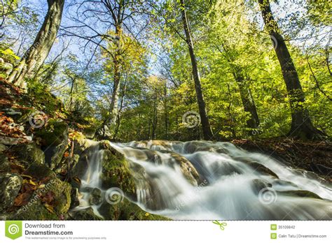 Beautiful Autumn Foliage And Mountain Stream In The Forest