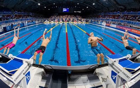 With the 2020 fina swimming world cup series dwindled down to just 4 stops from its original 6, fina has announced the cancellation of this year's edition. FINA Swimming Calendar 2019 - BettingZebra - Helpful info ...