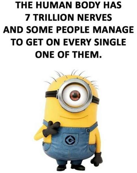 Pin On Laugh Out Loud With The Minions