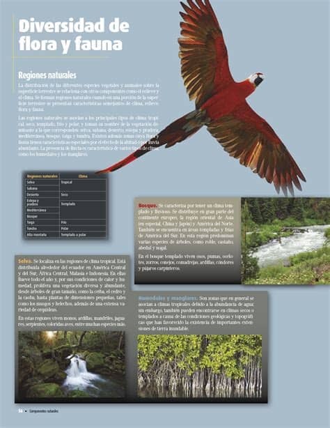 Lla cuarta edición del atlas de anatomía humana de. Atlas de geografía del mundo Quinto grado 2017-2018 ...