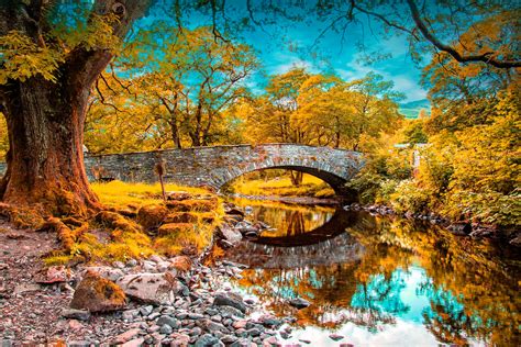 River Fall Pond Wallpaper Hd Nature 4k Wallpapers Images Photos