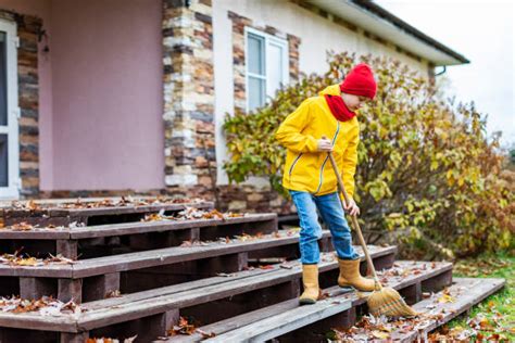 40 Working With Broom Sweeps Lawn From Fallen Leaves Stock Photos