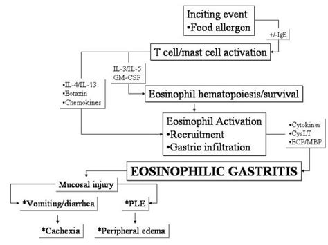 Pathology Of Eosinophilic Gastritis In The Presence Of An Inciting