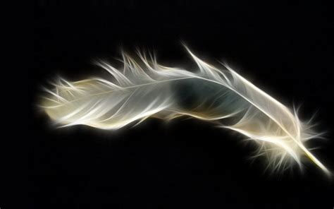 Feather Wallpaper 1440x900 56075