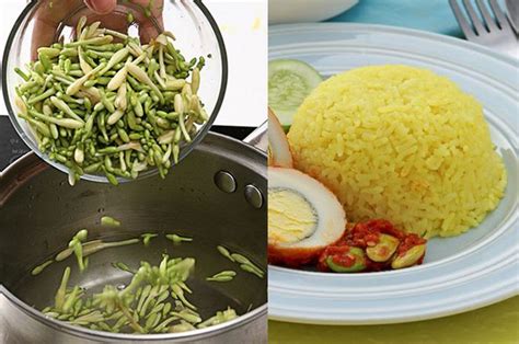 Ternyata alat dapur eletronik penanak nasi ini juga bisa berfungsi sebagai alat masak yang serbaguna. BERITA TERPOPULER: Dari Cara Menghilangkan Rasa Pahit ...