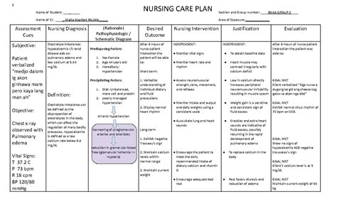 Ckd Ncp Nursing Care Plan Chronic Renal Failure Nursing Care My Xxx