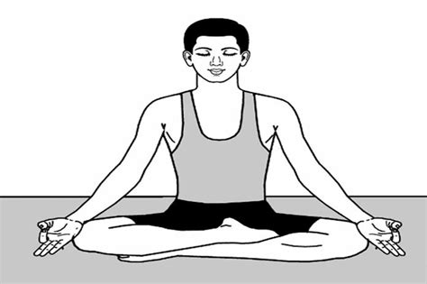 We did not find results for: Siddhasana Pose - Step by Step Guide and Benefits ...
